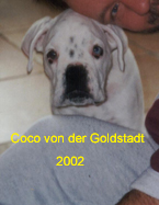 Coco03